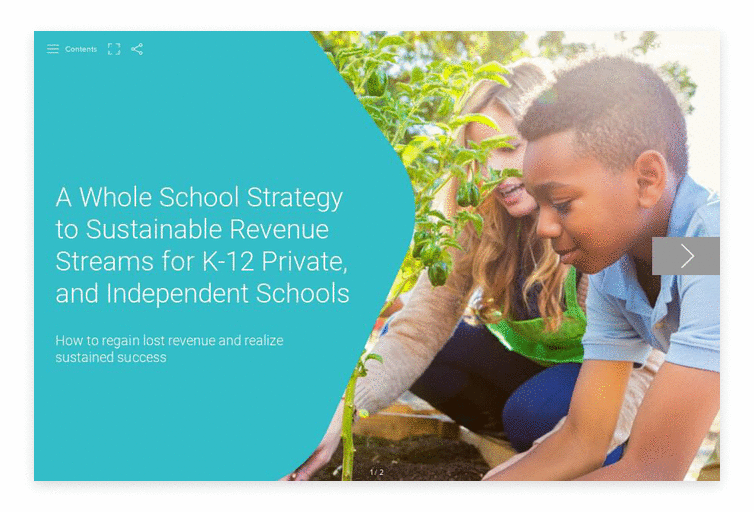 A Whole School Strategy to Sustainable Revenue Turtl